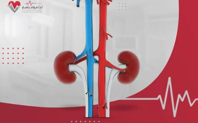 ما هو الشريان الأورطي؟ موقعه وأشهر الأمراض وطرق العلاج